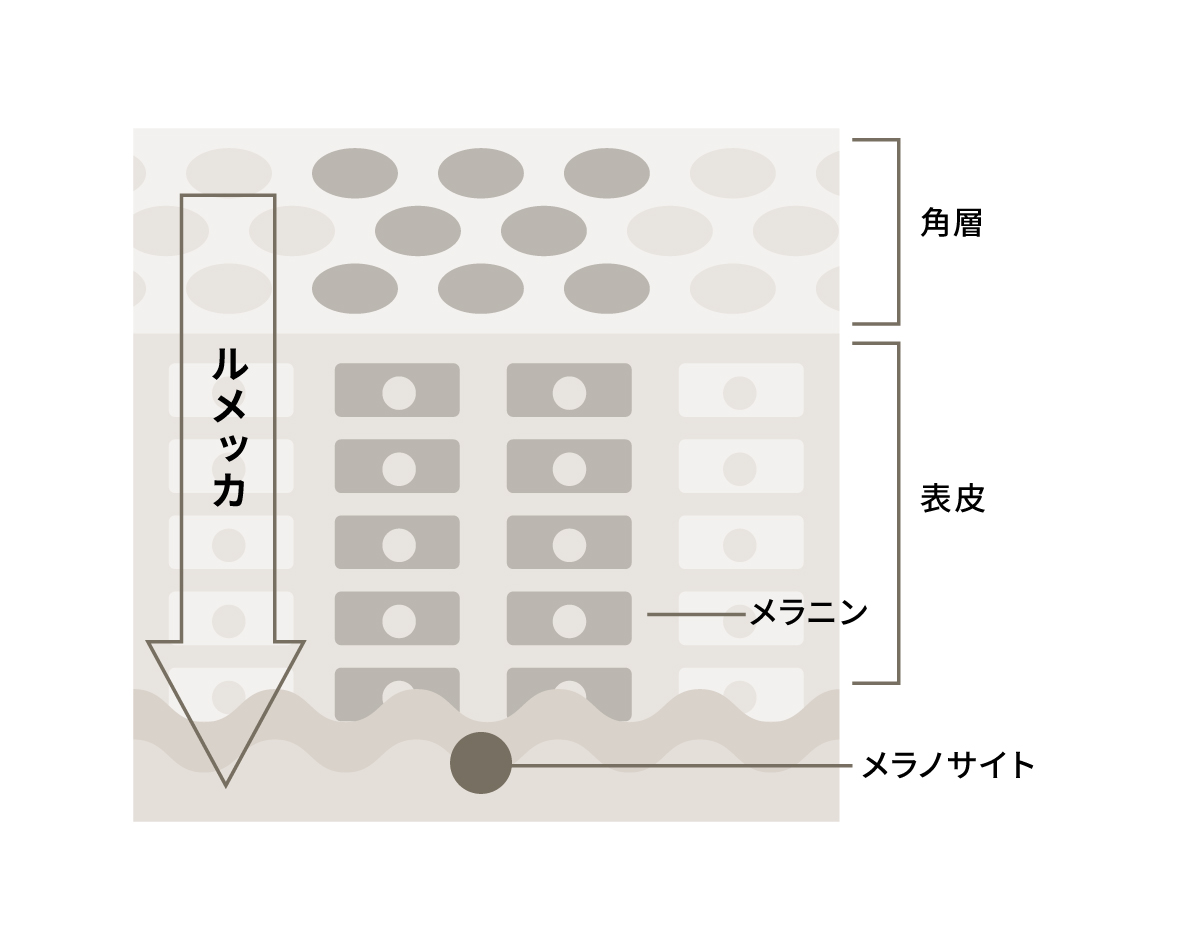 ルメッカの照射イメージ図